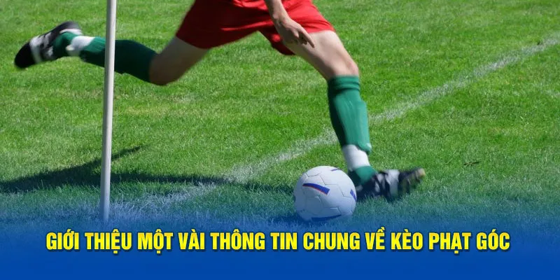 Giới thiệu một vài thông tin chung về kèo phạt góc