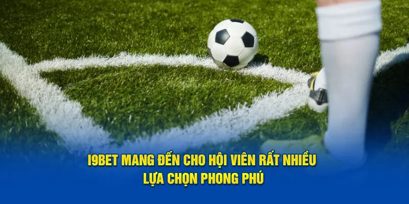 I9bet mang đến cho hội viên rất nhiều lựa chọn phong phú