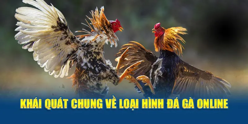 Khái quát chung về loại hình đá gà online